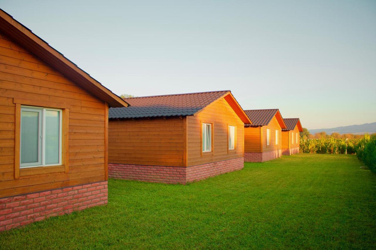 Finca Idoize Camping Hotel Akhmeta Экстерьер фото